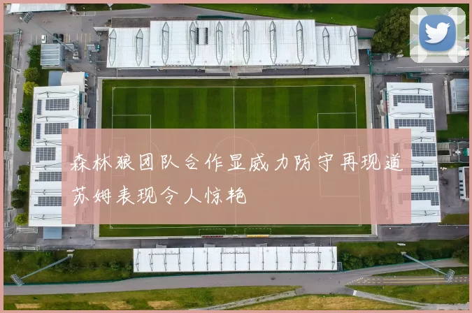 森林狼团队合作显威力防守再现道苏姆表现令人惊艳