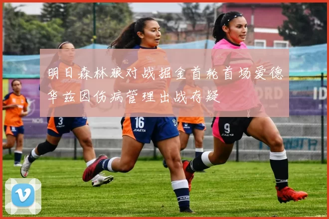 明日森林狼对战掘金首轮首场爱德华兹因伤病管理出战存疑
